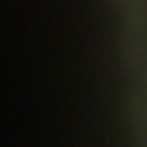 Meet your Posher, Reyna